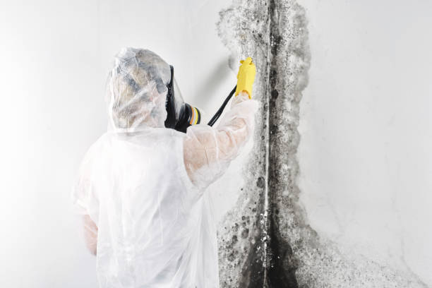 Best Water damage mitigation services  in Chandler, AZ